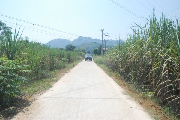 Đường nội đồng tại thị trấn Hòa Thuận (Phục Hòa) được đầu tư, tạo điều kiện cho người dân phát triển sản xuất.